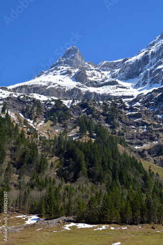 Gitschen, 2513m (Kanton Uri) photo