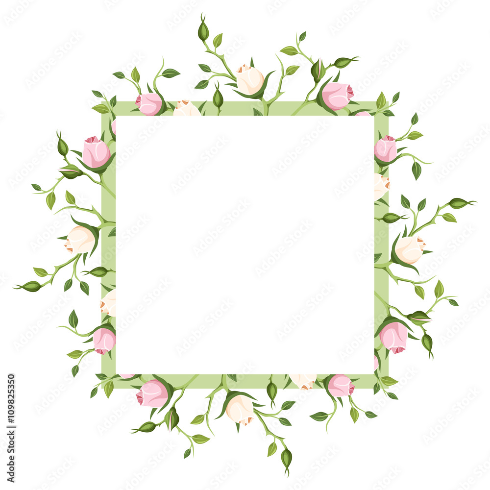 Vector background with pink and white rose buds.