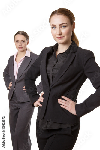 professional business model