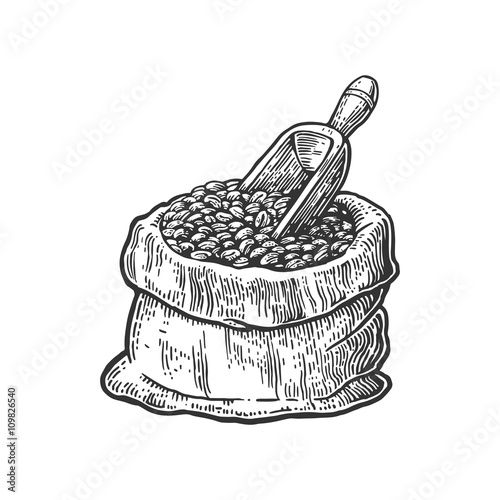 Sack with coffee beans with wooden scoop. Hand drawn sketch style. Vintage black vector engraving illustration for label, web, flayer.  Isolated on white background