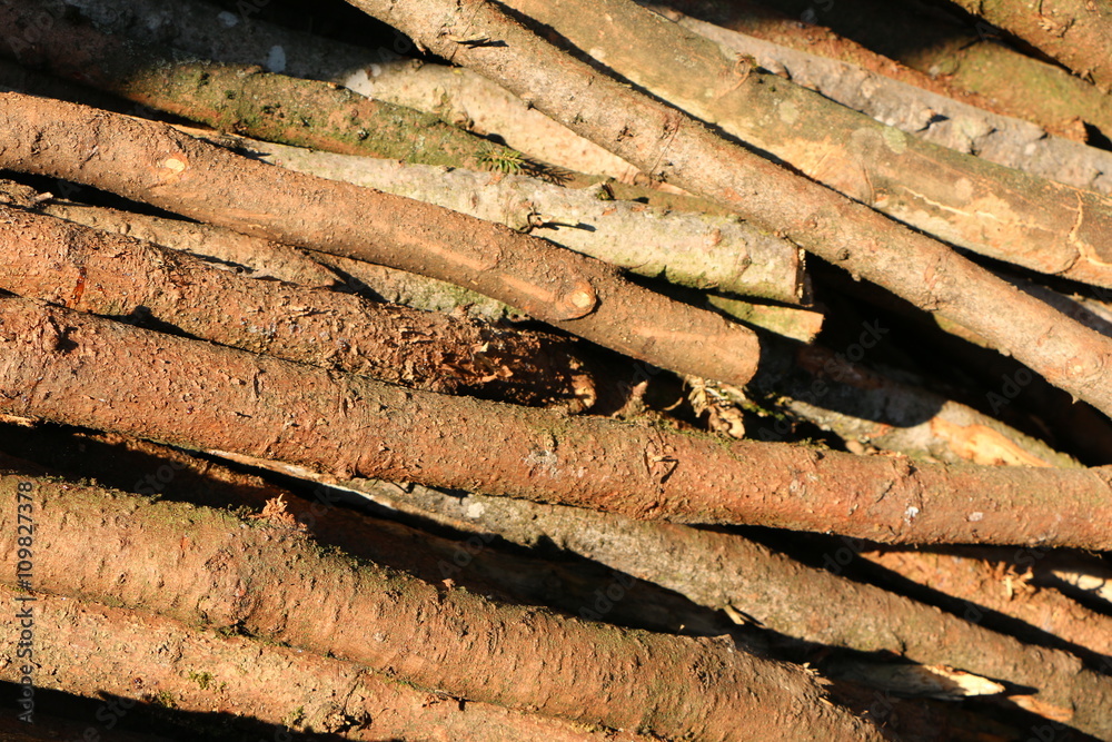 gefällte Holzstämme für den Verkauf, Holzwirtschaft gefällte Holzstämme für den Verkauf, Holzwirtschaft