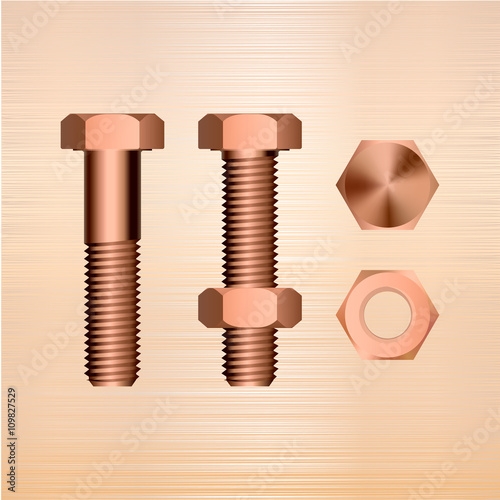 screw on a metal background...