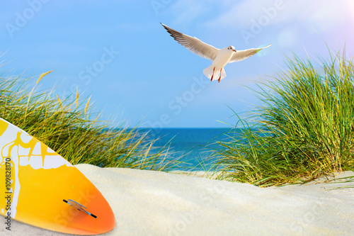 Fototapeta Naklejka Na Ścianę i Meble -  Surfboard am Strand, mit Möwe