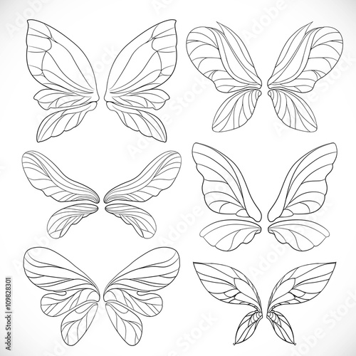 Fairy wings outlines set isolated on a white background