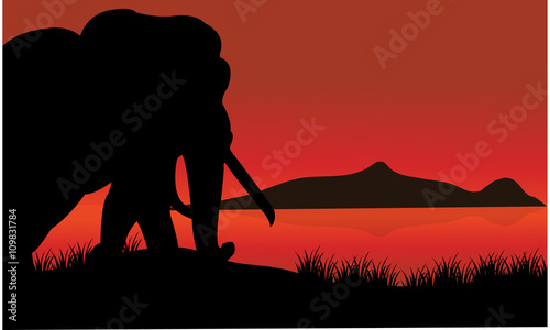 Single elephant silhouette of scenery