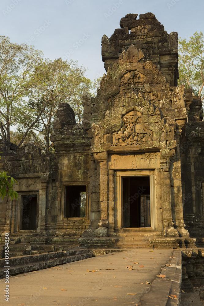 Details of Prasat Ta Prohm Temple in Angkor Thom, Cambodia