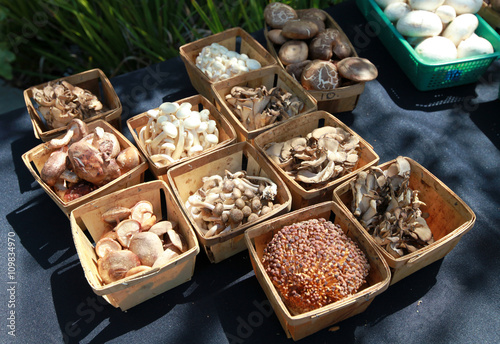 containers of mushrooms
