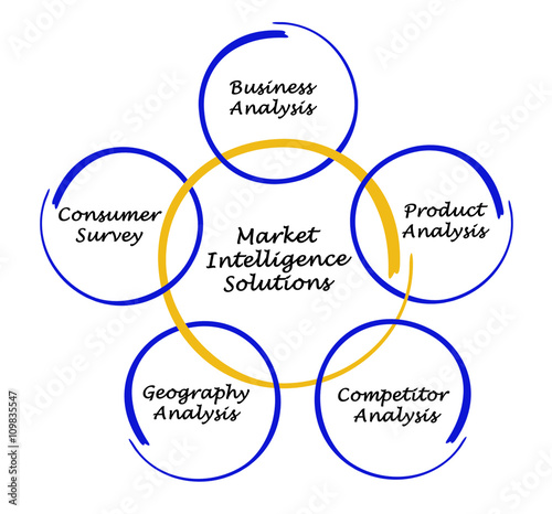 Diagram of Market Intelligence Solutions