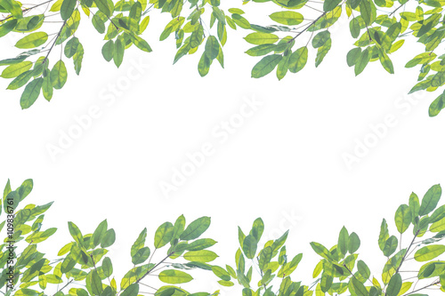 decorated branches background which is good to use for doing graphic design.