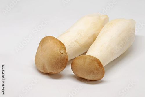 Eringi mushrooms on white