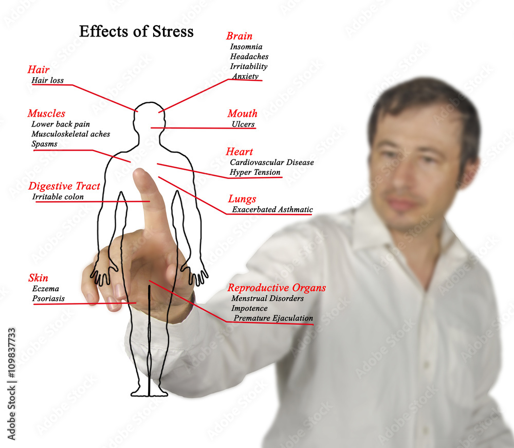 Effects of Stress Effects of Stress