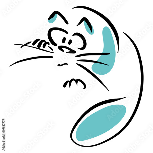 Cat straightens whiskers