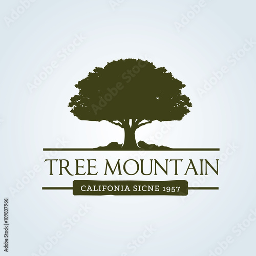 Tree logo. Vector logo template. photo