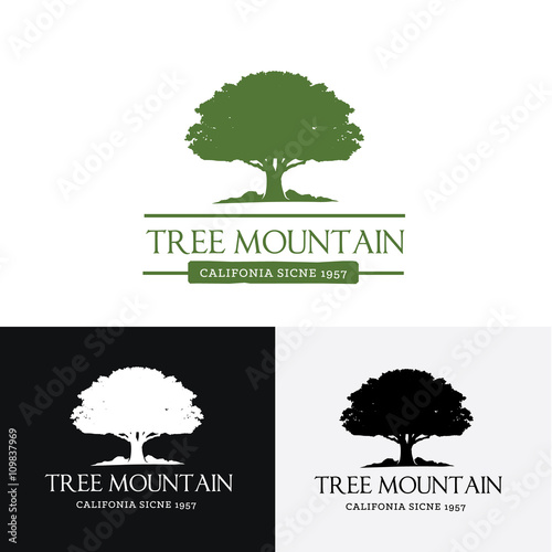 Tree logo. Vector logo template.
