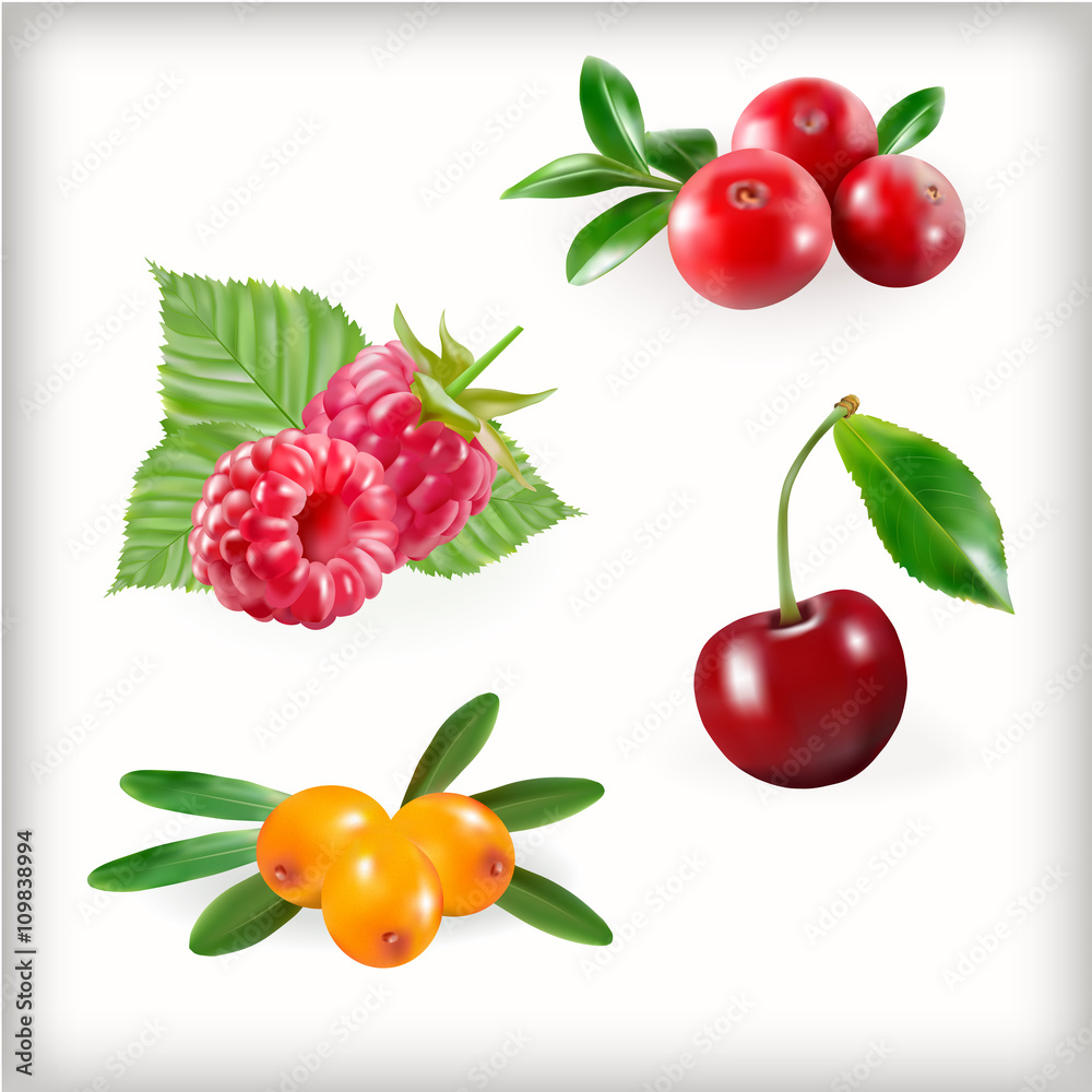 Set of sweet berries Set of sweet berries