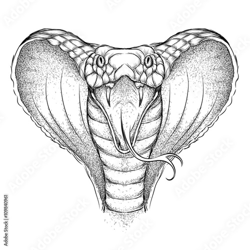 Hand draw King Cobra. Vector illustration