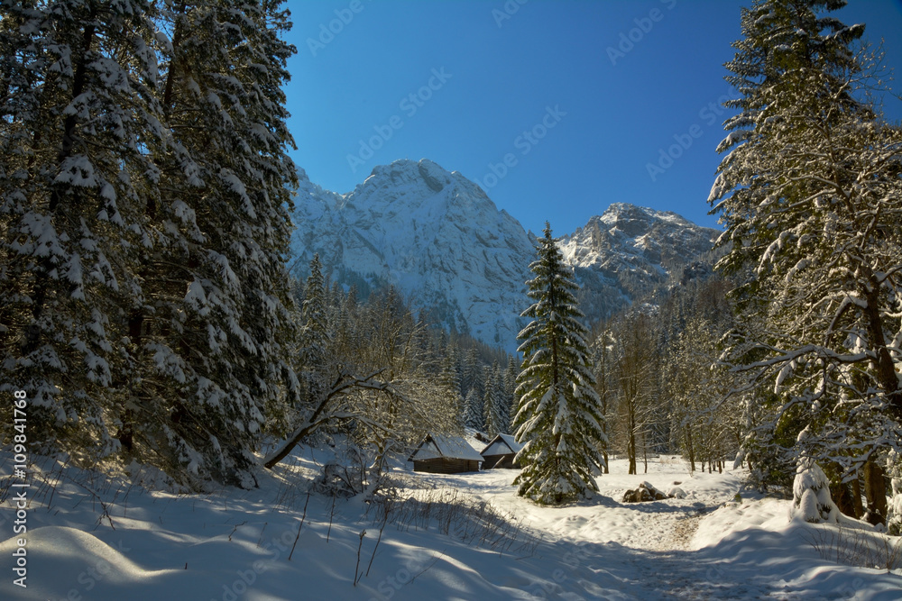 Naklejka premium Tatry Zimą Widok Dolina Strążyska Zakopane