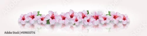 Panel kuchenny z motywem Hibiskus