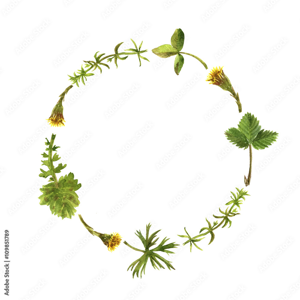 Fototapeta premium floral frame with watercolor drawing herbs and leaves