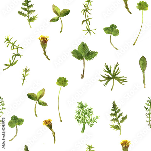 Seamless pattern with watercolor drawing herbs and leaves