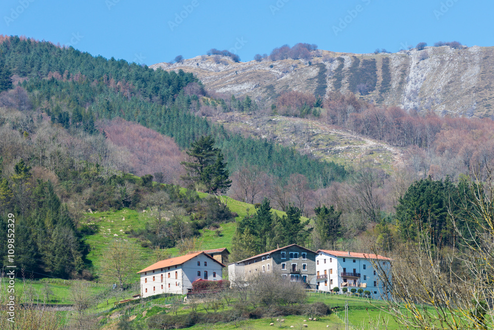 Obraz premium rural houses on a background of mountains