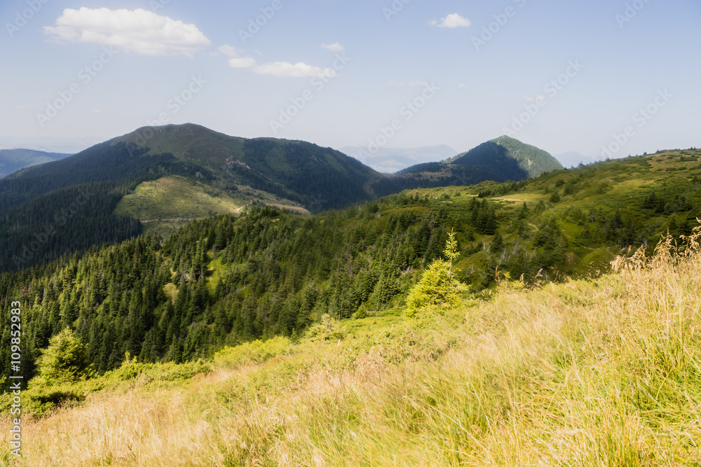 summer landscape of Marmarosy mountains range of Carpathian mountains on the Ukraine and Romania border summer landscape of Marmarosy mountains range of Carpathian mountains on the Ukraine and Romania border