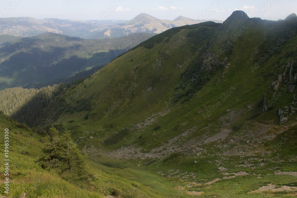 Fototapeta premium summer landscape of Marmarosy mountains range of Carpathian mountains on the Ukraine and Romania border