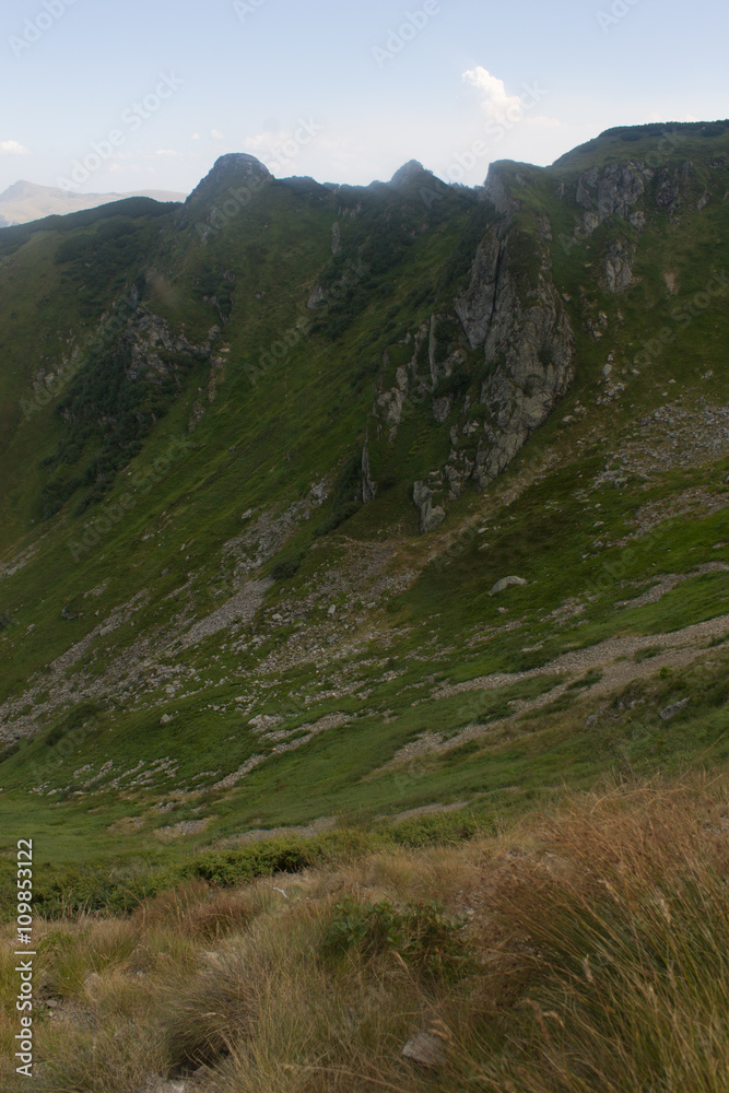 Obraz premium summer landscape of Marmarosy mountains range of Carpathian mountains on the Ukraine and Romania border