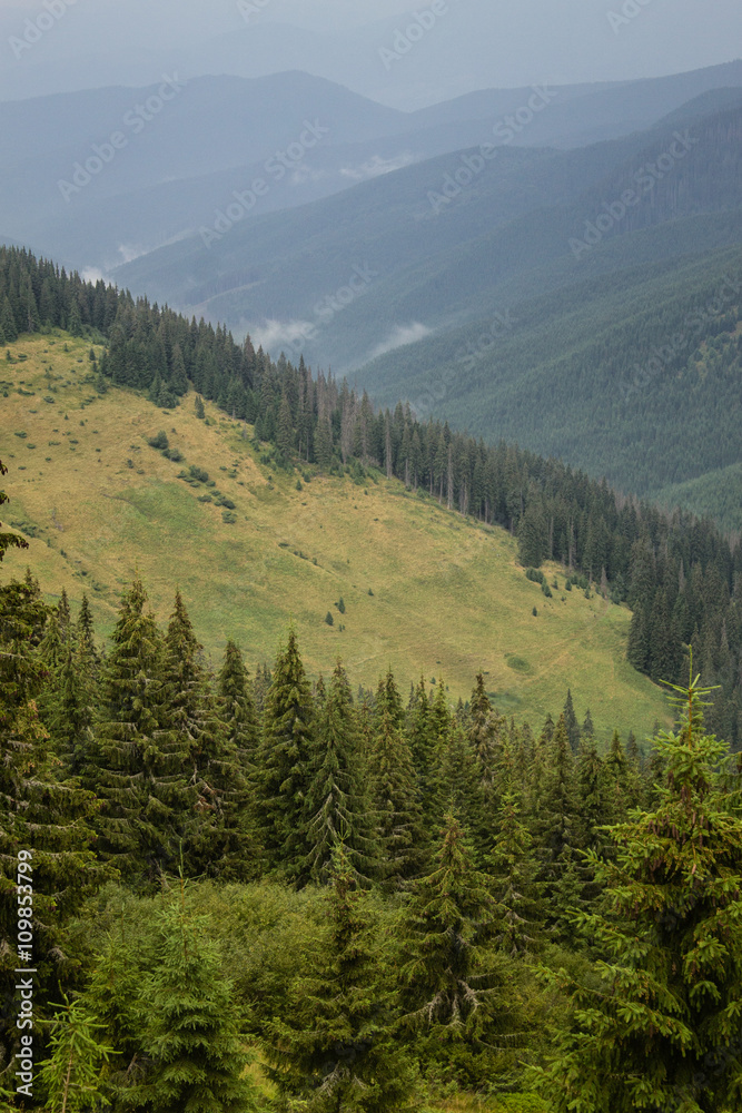 summer landscape of Marmarosy mountains range of Carpathian mountains on the Ukraine and Romania border