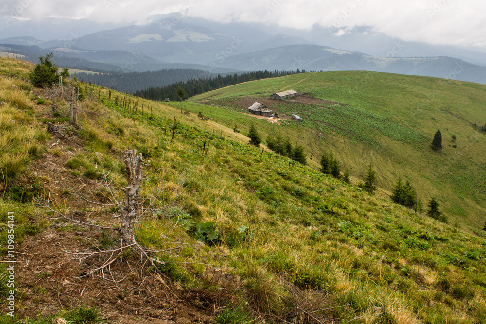 Fototapeta premium summer landscape of Marmarosy mountains range of Carpathian mountains on the Ukraine and Romania border