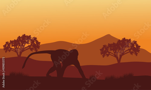 Silhouette of monkey in hills