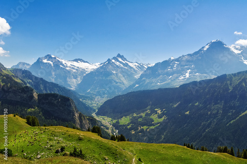 Beautiful idyllic Alps landscape with mountains in summer, Switzerland   © Iuliia Sokolovska