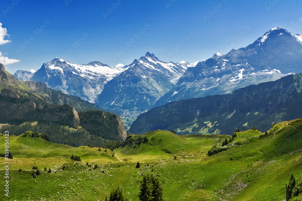 Beautiful idyllic Alps landscape with mountains in summer, Switzerland
