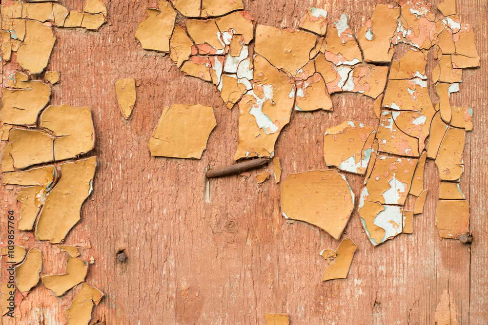 Fototapeta premium Wooden texture with scratches and cracks