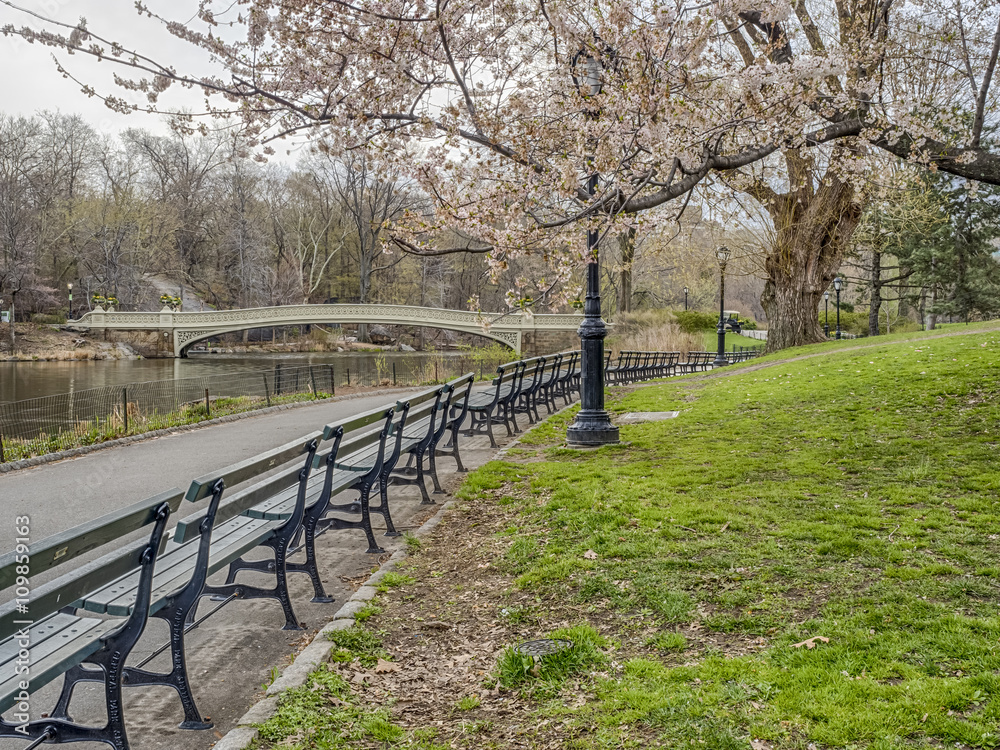Central Park, New York City spring