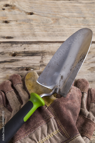 Quadro su tela Garden trowel and gloves