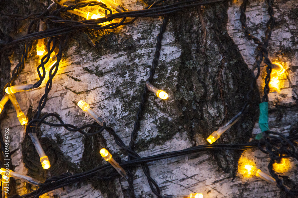 Fairy lights on a tree