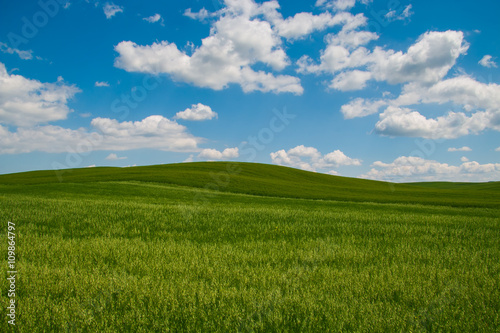 Rolling green hills and blue sky with clouds © Buffy1982
