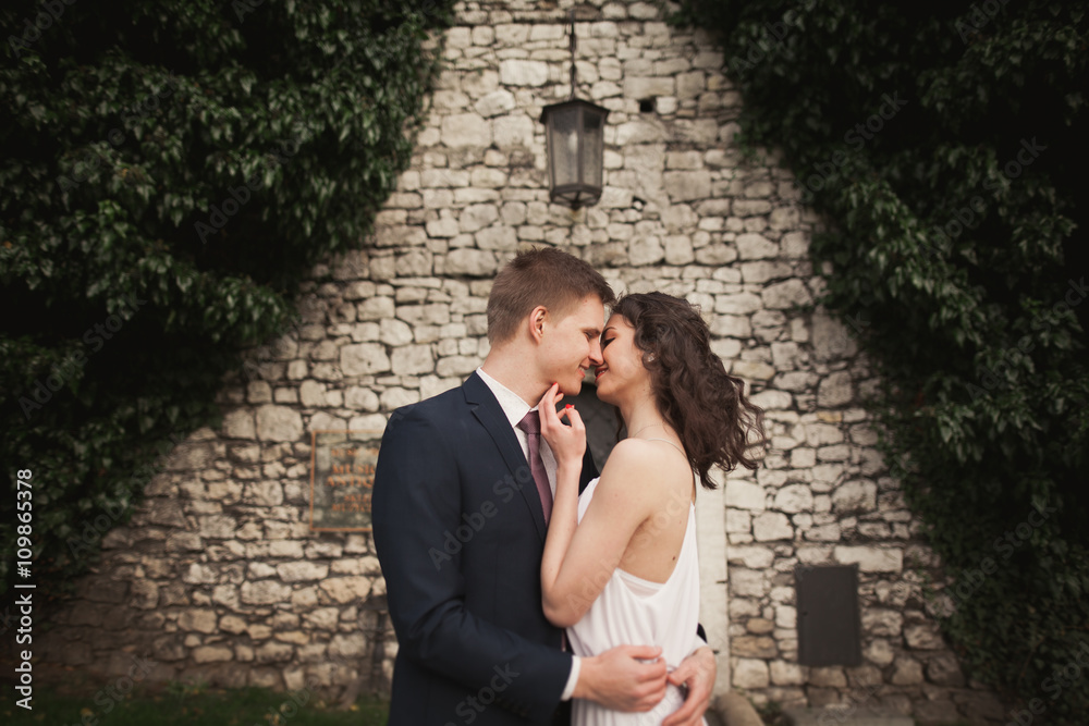 Elegant beautiful wedding couple, bride and groom posing in park near a wall of bushes