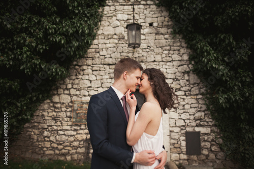 Elegant beautiful wedding couple, bride and groom posing in park near a wall of bushes