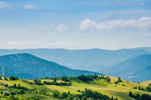 mountain summer landscape. trees near meadow and forest on hills © Mosphotobox