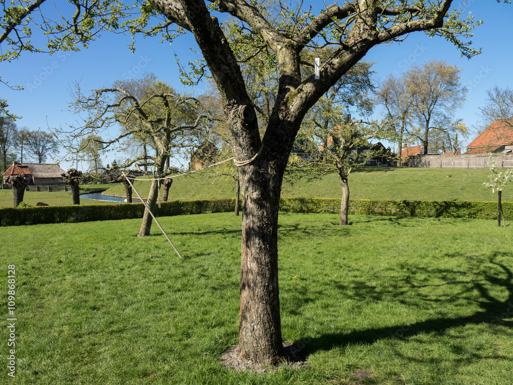 Fototapeta premium Enkhuizen in the netherlands