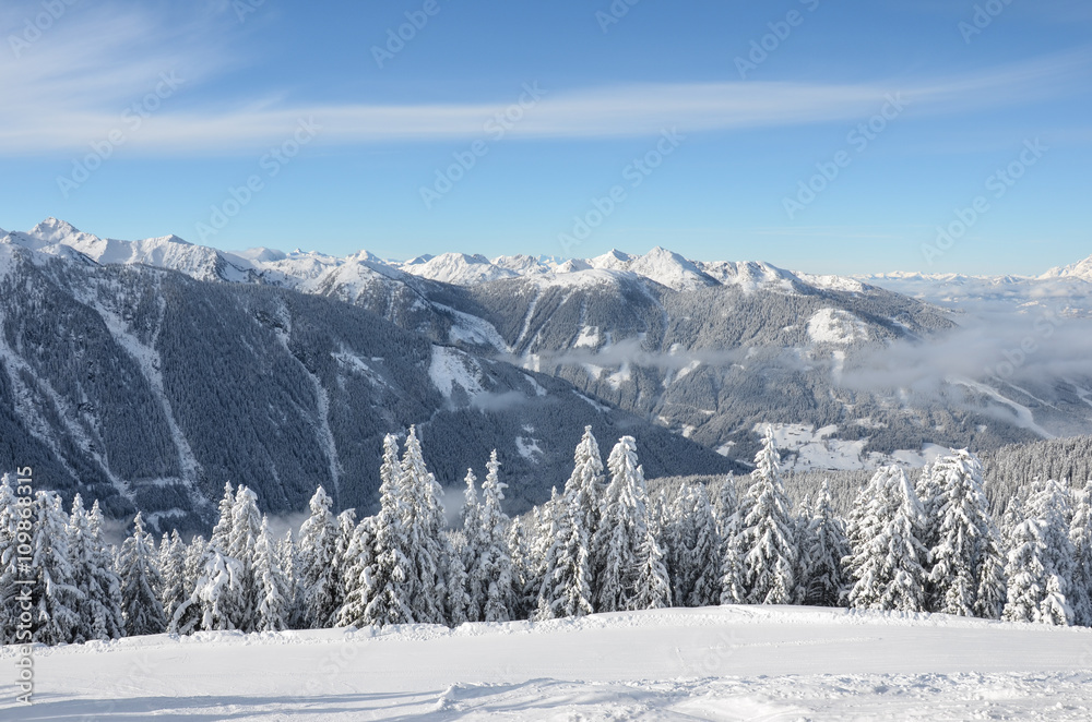 Beautiful view of the snow-covered spruces, mountains and low clouds in winter