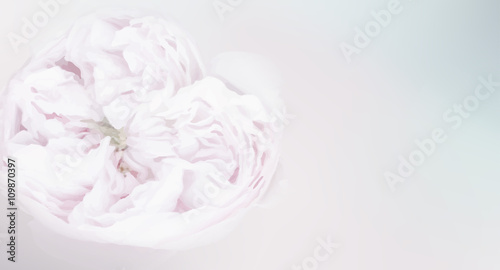 Fototapeta Naklejka Na Ścianę i Meble -  Fresh roses in a bowl of water