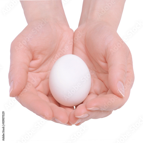 Hand holding egg