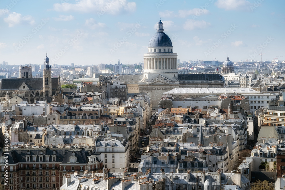 Roofs of Paris and Pantheon, top view