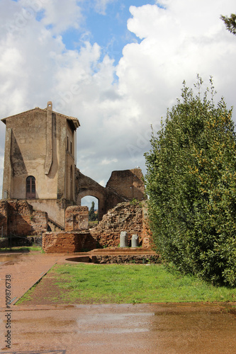Canvas Print Rome,Italy,Palatine Hill,spring.