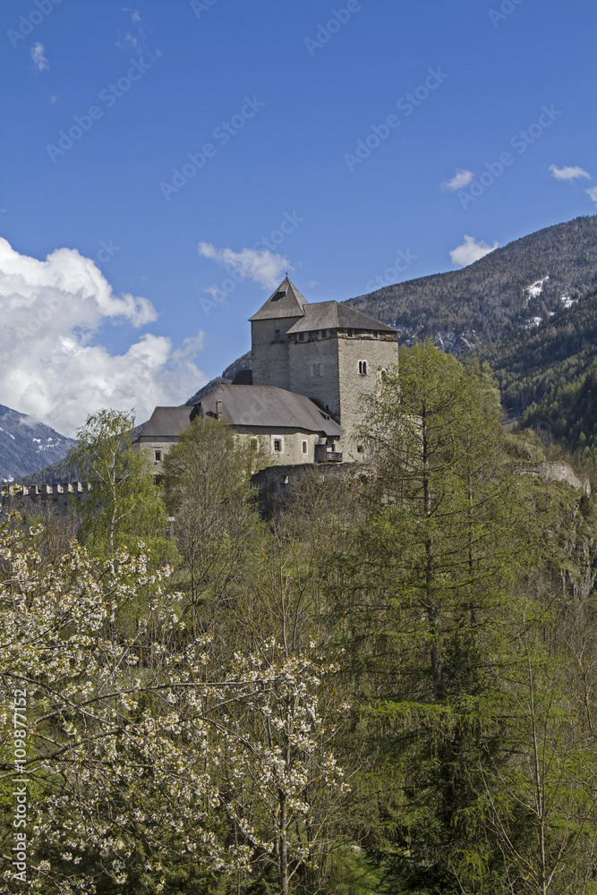 Schloß Reifenstein