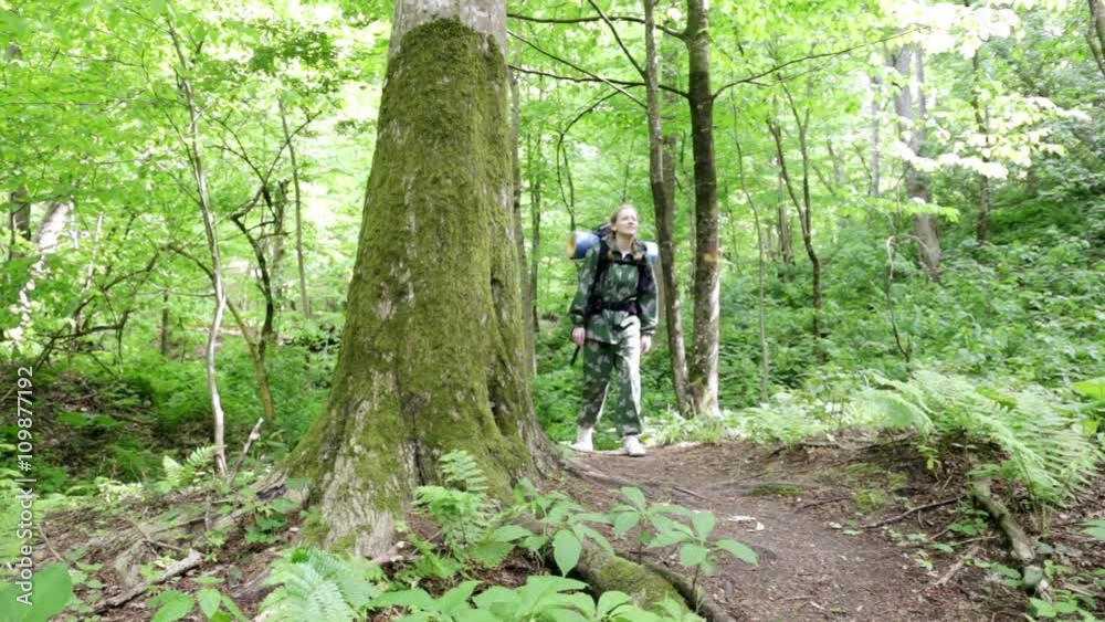 Tourist woman walking through the forest. woman with backpack in the woods. hiking. green Forest. a tour of the forest. camping. leisure. ecotourism. go on a trip. wild. adventure begins