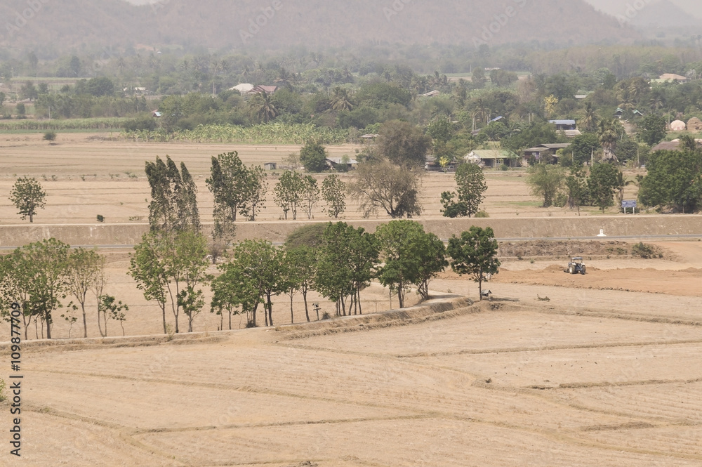 Fototapeta premium Farm after harvest